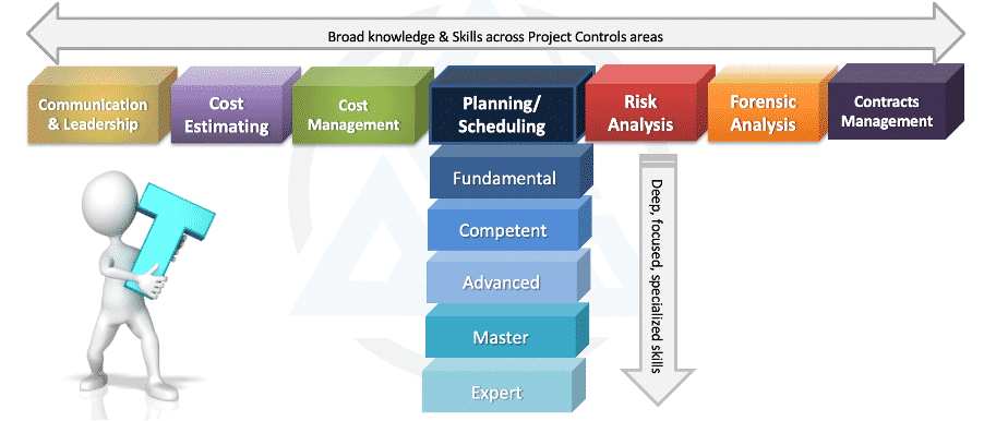 T-shaped Project Controls Professional